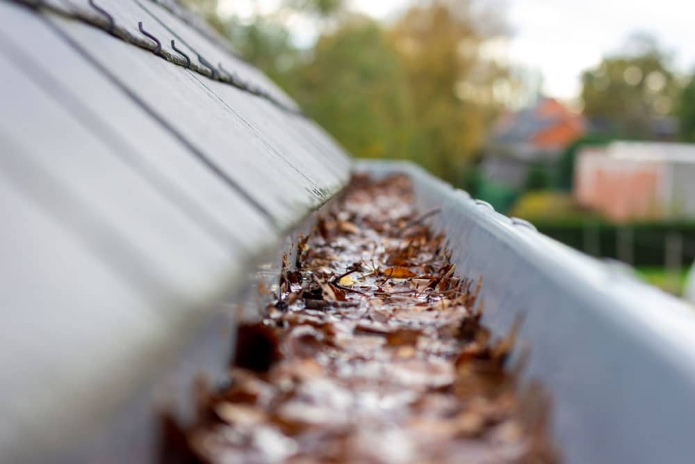 Bilde av en takrenne som er full av blader, vann og skitt som har tetnet takrennen - Midt-Norsk Vask AS - Fasadevask